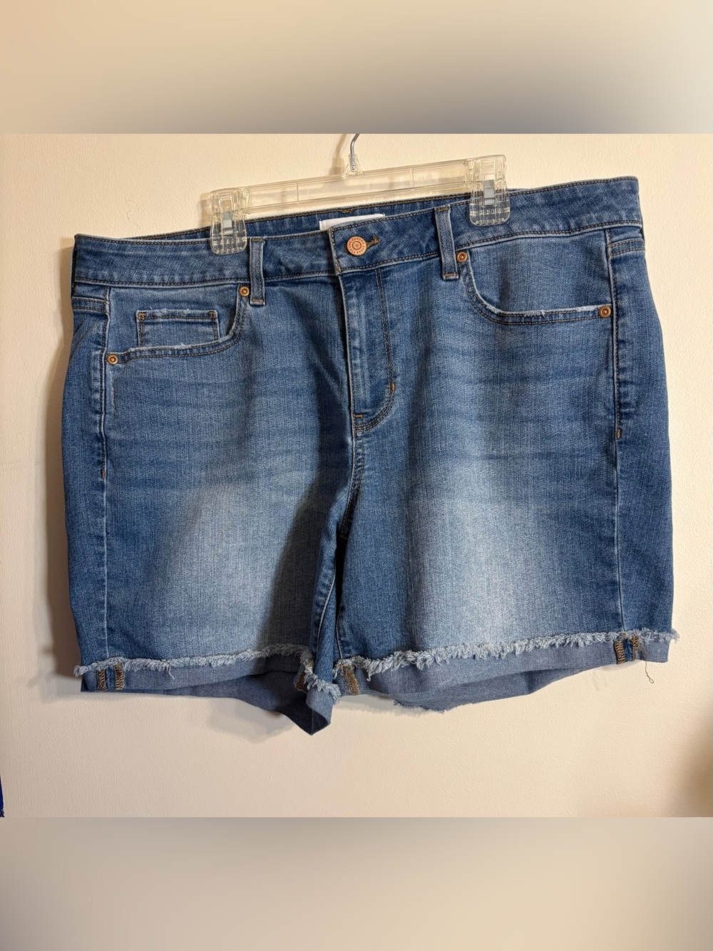 Sonoma Blue Frayed Hem Denim Shorts